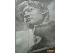 大衛素描石膏頭像臨摹范畫作品欣賞