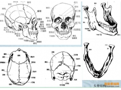 四個要點告訴你：在人像素描中需要表現哪些內容？