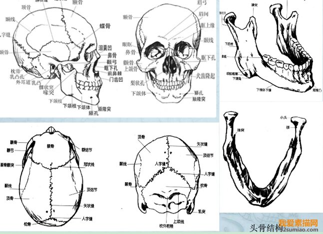 四個(gè)要點(diǎn)告訴你:在人像素描中需要表現(xiàn)哪些內(nèi)容?