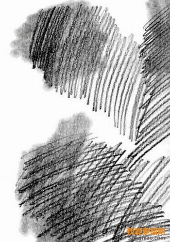 素描排線——最基礎的素描教程