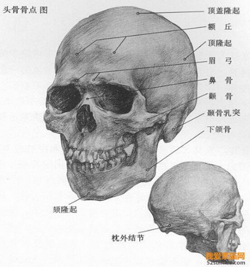 素描頭像技法學習與優秀作品欣賞