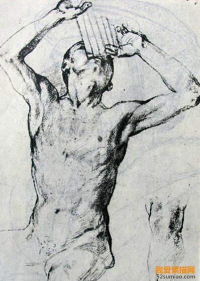 人體肌肉素描——人體藝術素描的基礎教程之一