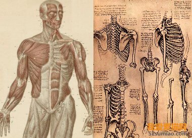 人體藝術素描——素描基礎上的藝術加工