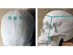 素描人物頭像頭發的畫法圖解