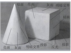 素描入門-素描明暗交界線怎樣看和怎樣畫？