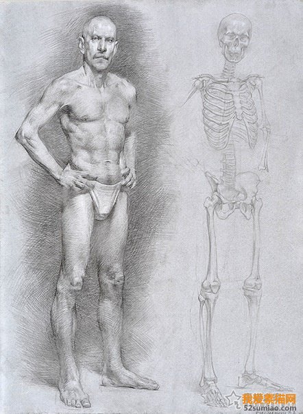 男人體結構素描