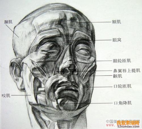 零基礎素描