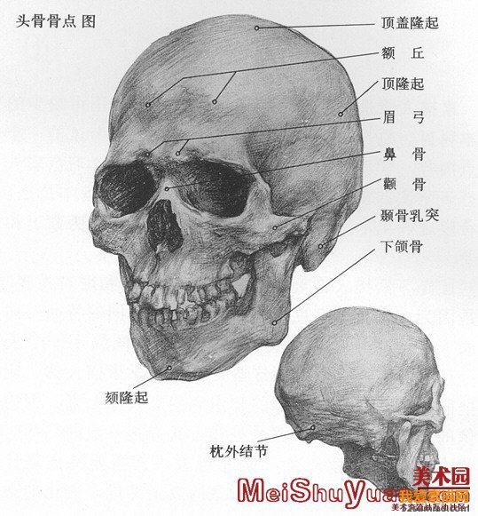 零基礎素描