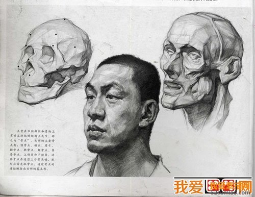 素描頭像之五官比例關系