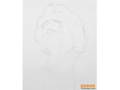 素描基礎教程之石膏頭像步驟教程