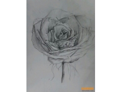 藍色妖姬素描圖片欣賞