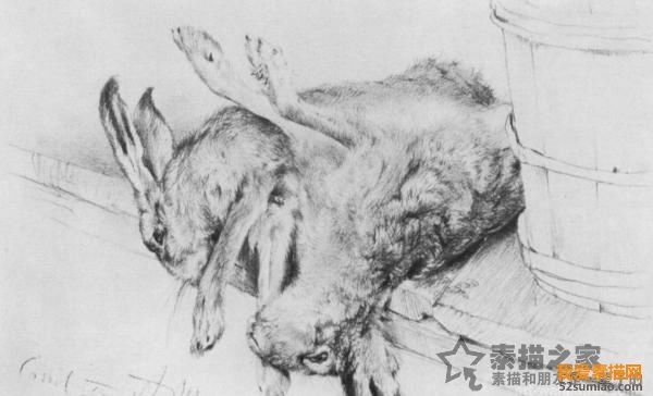 門(mén)采爾素描作品