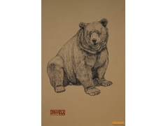 鋼筆素描動物畫優秀作品欣賞