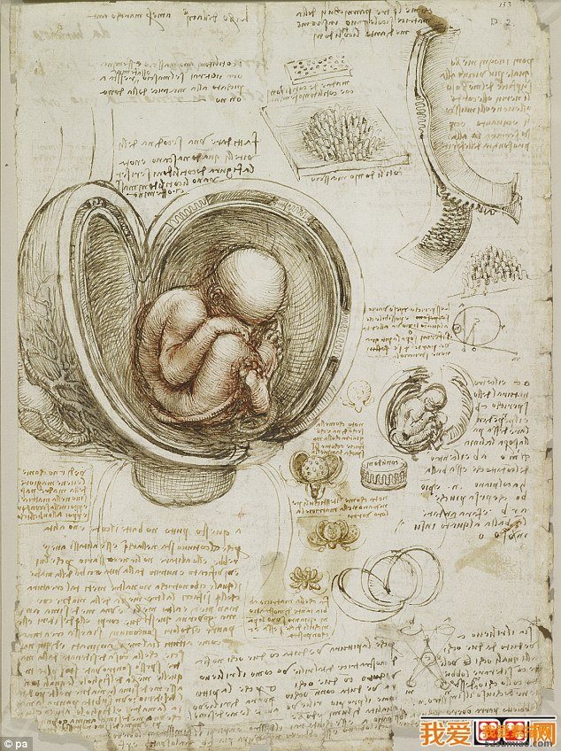 達芬奇人體素描手稿作品