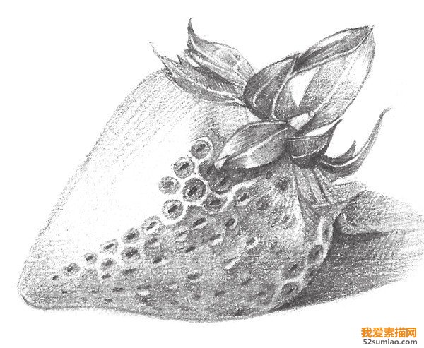 素描草莓明暗關系