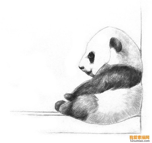 素描熊貓明暗關系
