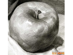 單個水果素描靜物:5個不同角度的素描蘋果圖片