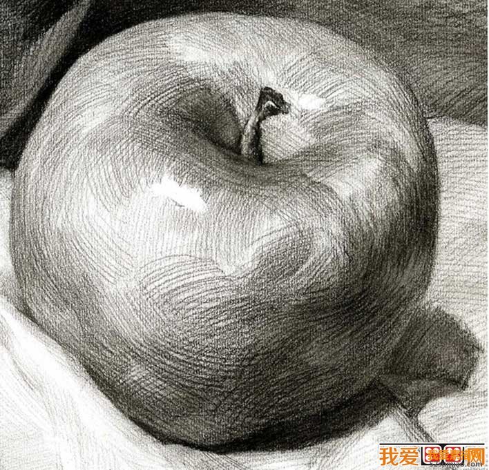 素描蘋果圖片，單個水果素描靜物01