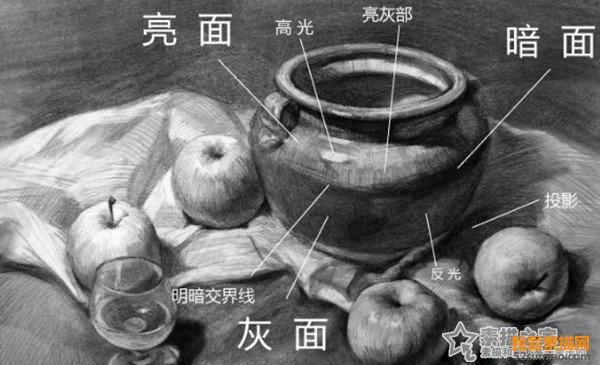 靜物素描明暗關系