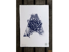 法國插畫家Valérie Hugo創意字母插畫欣賞