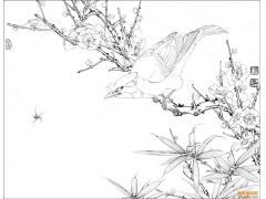 素描中國風(fēng)：線描繪畫