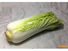 素描零基礎(chǔ)：輕松教你畫白菜！