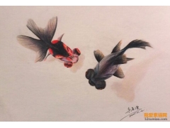 神奇！游動在紙上的魚