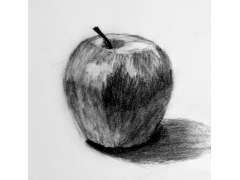 優秀的蘋果素描作品欣賞