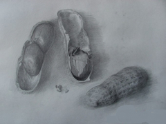 兒童學素描知識畫寫實素描的利和弊