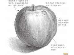 素描排線技巧：線條的三維空間關系 體積的塑造