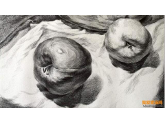 素描靜物怎么畫好？素描靜物畫法步驟教程