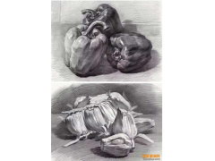 素描——玻璃杯，金屬壺、手套、菜椒單體靜物素描臨摹圖素材